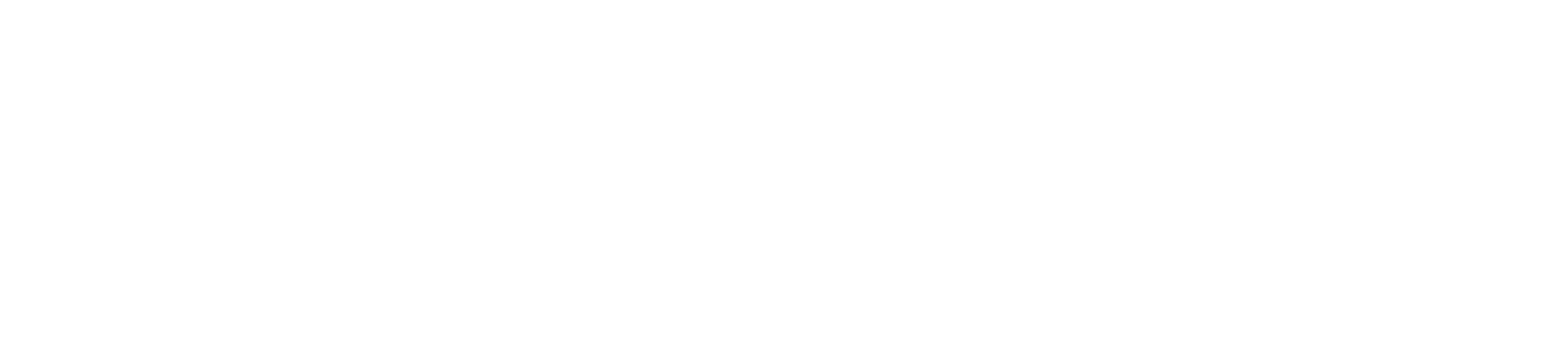 sandy Logo WQhite